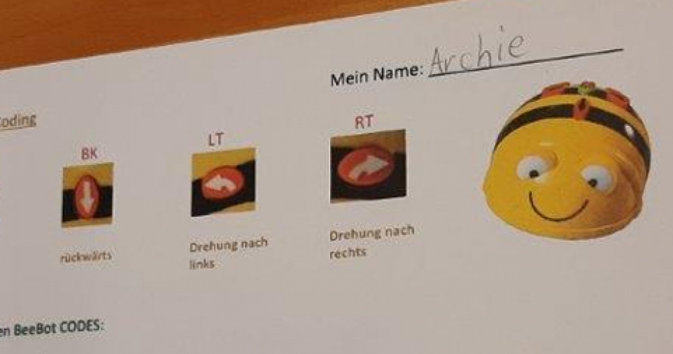 Arbeit mit BeeBots